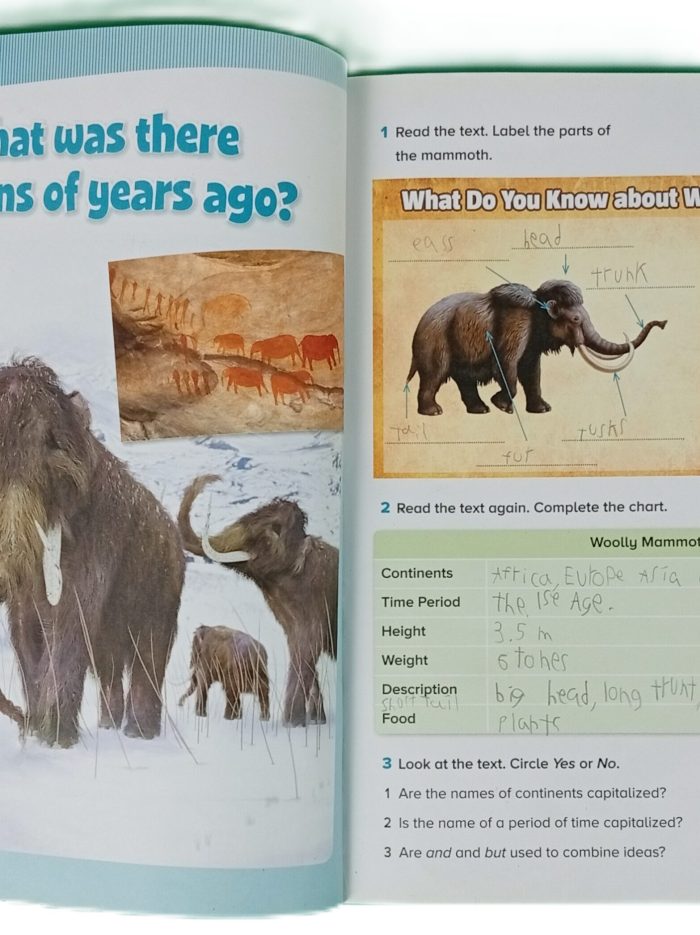 197506922.155_4 197506922.155_4