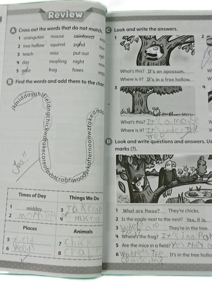 197506922.166_2 197506922.166_2