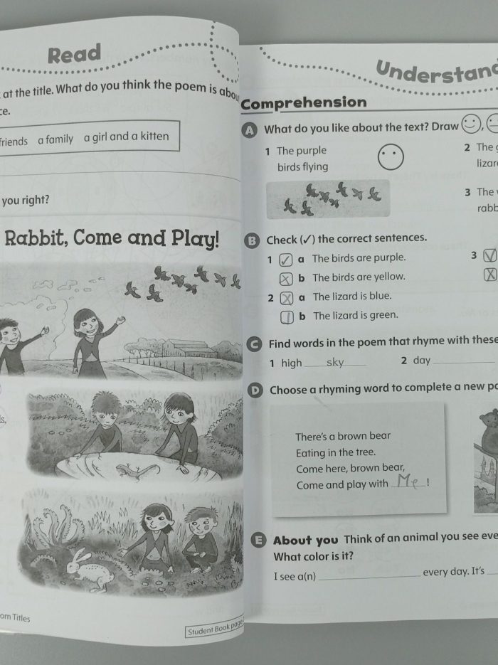 32134508.211(1) 32134508.211(1)