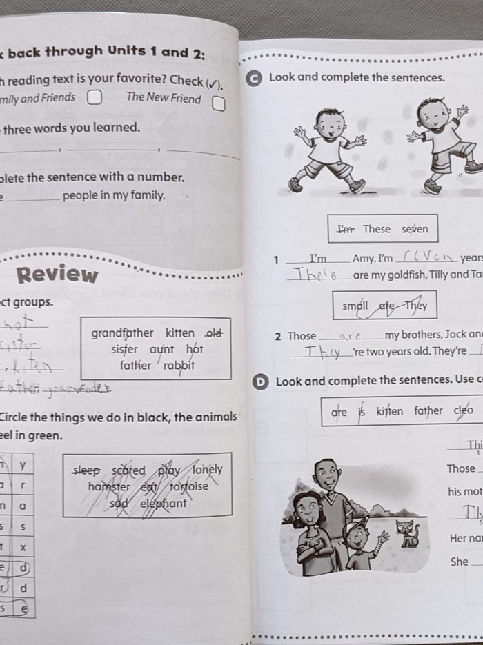 1905dfbd316f1f7c7c24241b-1.jpg 1905dfbd316f1f7c7c24241b-1.jpg