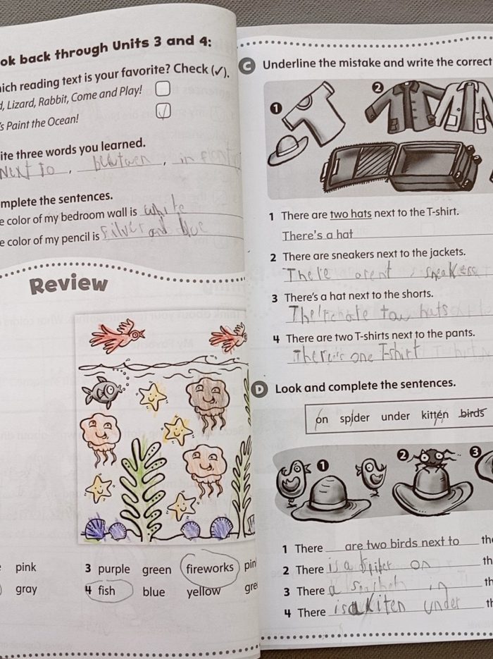 428f225a868581c91dbdd4f2-1.jpg 428f225a868581c91dbdd4f2-1.jpg