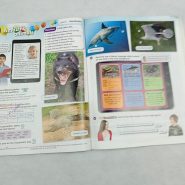 1b82b8f5f8faa61e50a5b058-1.jpg