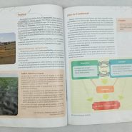 4aaf1a6aebd1b0e1bc4b1aa1-1.jpg