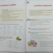 44adc5009637fdf0a0801926-5-1.jpg