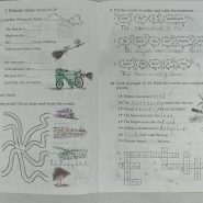 cb929a4d6618e0d4f460f90b-1.jpg