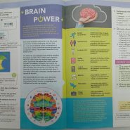 dc27e0a8a14680b3dd4b4f6b-1.jpg