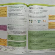 3ea9a9617b29eb01c489eba3-1.jpg