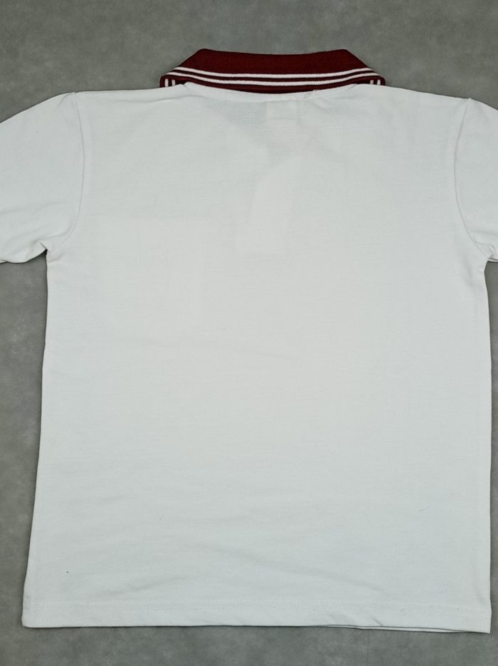 ba53e34dd0aa007a403ede7a-2-1.jpg
